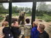 Afsluiting thema beestenboel met bezoek aan dierentuin
